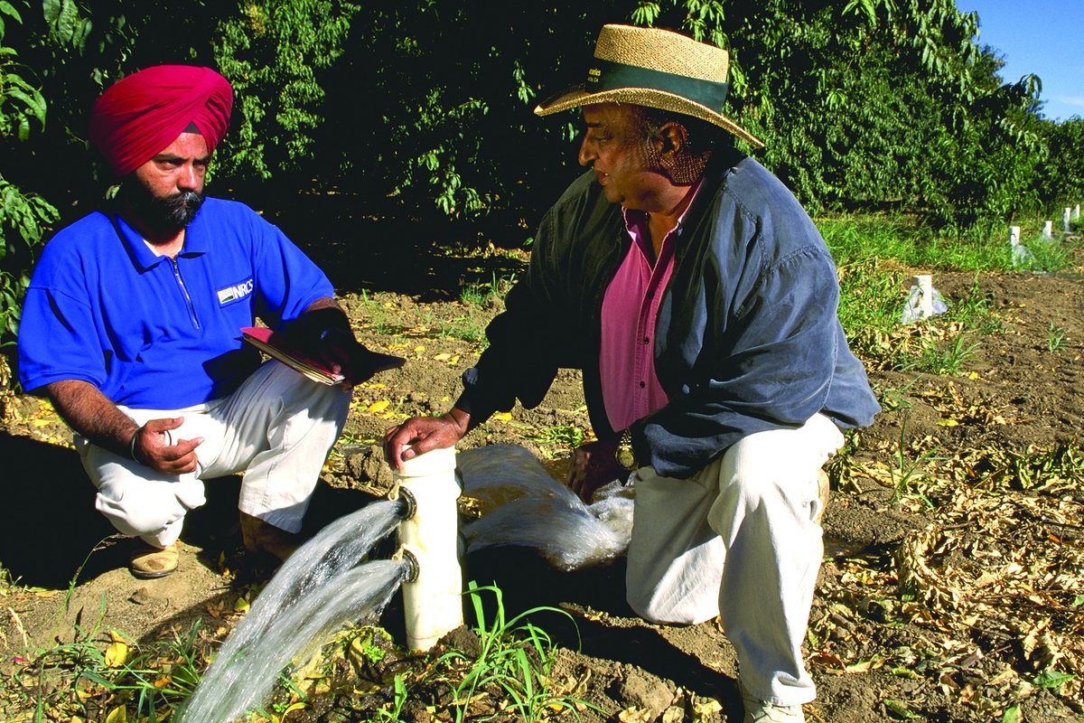 A California peach farmer showing his irrigation system to a USDA soil conservationist